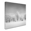 Trademark Fine Art Ice Storm Artwork by Dave MacVicar, 18 x 18" view 2