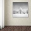 Trademark Fine Art Ice Storm Artwork by Dave MacVicar, 18 x 18" view 3