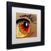 Trademark Fine Art Eye 1 by Roderick Stevens Frame, 11 by 11", White Matte view 2