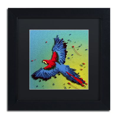 Trademark Fine Art The Raven 3 by Roderick Stevens Animals Frame, 11 by 11", Black Matte