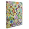 Trademark Fine Art Bulles by Sylvie Demers Wall Hanging, 18" x 24" view 2