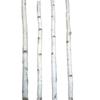 Four Thin White Birch Poles 6 ft view 1