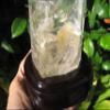 Quartz Crystal Point Mineral Specimen Stone Art A22 view 4