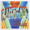 Greetings from Lakeland Florida Fridge Magnet (2.5 x 3.5 inches) view 1