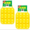 Coghlan's 511A 12 Eggs Camping Egg Carrier view 1