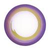15 cm Rotation Sushi Plate A Heat-resistant ABS Owner Purple Ombre One X TA view 1