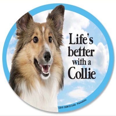 Collie Oval Dog Magnet for Cars (and fridges too!). Includes bonus I Love My Dog decal.