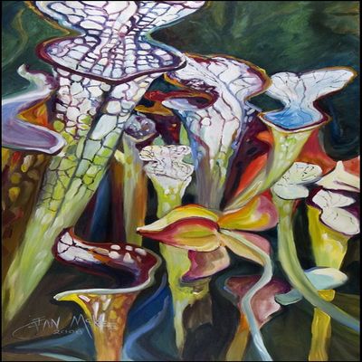 Caroline's Treasures JMK1336VRM5828 Pitcher Plant Indoor/Outdoor Runner Mat 58x28,