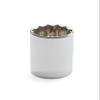 3/8" Drive 12 Point Standard Socket - 5/16" view 1