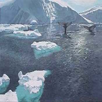 John Seerey-Lester - Fluke Sighting Humpback Whales
