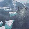 John Seerey-Lester - Fluke Sighting Humpback Whales view 1