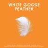 Canadian Down & Feather Co.  2 Pack Medium Support White Goose Feather Pillow Standard Size  255 TC Shell 100% Cotton  Filled in Canada view 4