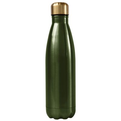 Karma Gifts Stainless Steel Water Bottle, Green
