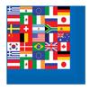Beistle International Flag Luncheon Napkins - 12 pack(16/Pkg)(2-Ply) view 1