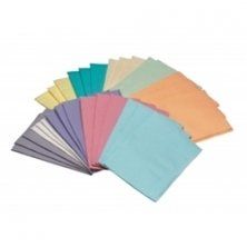Cargus Dental 1001319 Bibs 2ply Blue 13 X 19