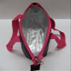Lunch Bag Insulated Tote Bag Reusable and Durable (Ballet Slippers) view 3