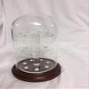 Glass Doll / Clock Dome with Walnut Base - 4" X 7" with Thimble holding shelf view 1