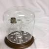 Glass Doll / Clock Dome with Walnut Base - 4" X 7" with Thimble holding shelf view 2
