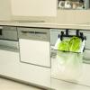 aiwa cat dust Box view 3
