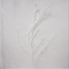 Arcadia Silk Plantation 64" Snowy Branch White (Pack of 6) view 1
