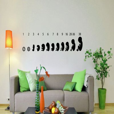 VSDecals Fetus Stages Wall Decal Baby Growth Vinyl Sticker Home Interior Office Wall Decor Art Housewares Design 3dlm FRST