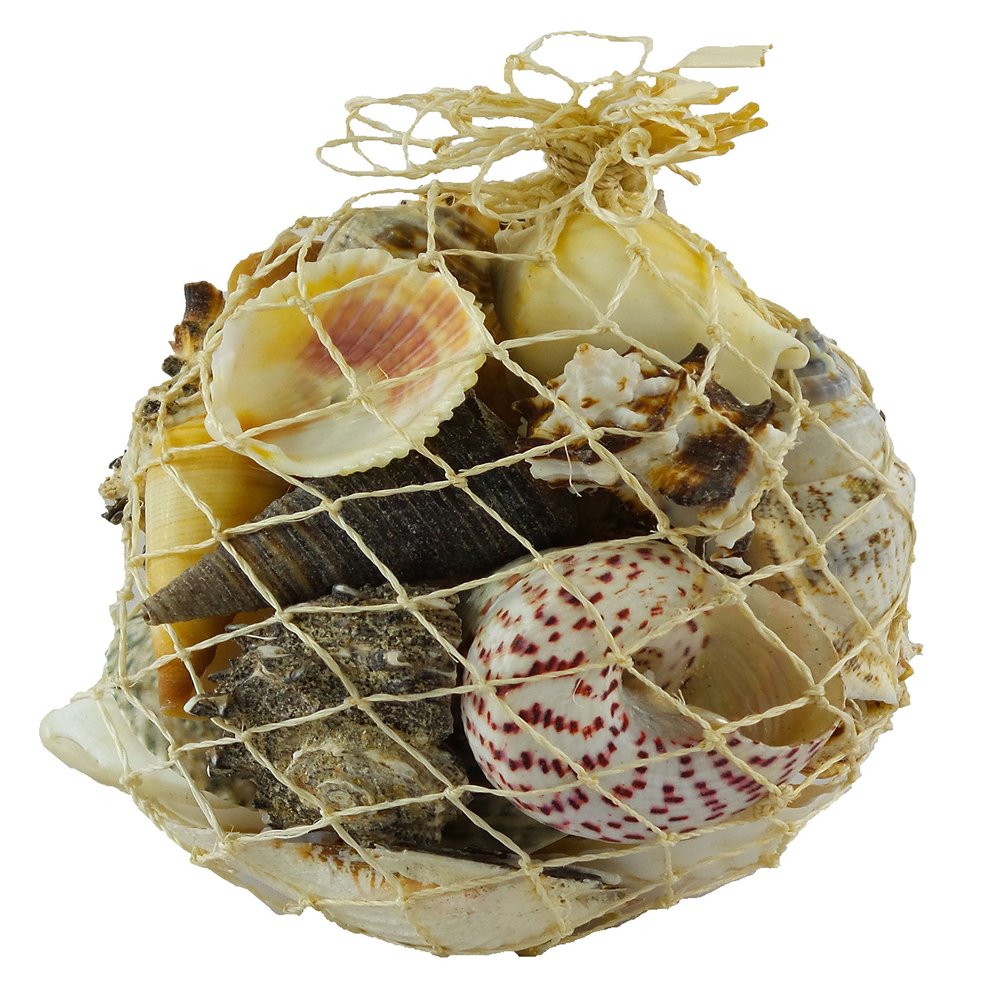 U.S. Shell Natural Net Shell Bag, Small