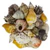 U.S. Shell Natural Net Shell Bag, Small view 2