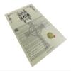 Trueblood Coat of Arms, Family Crest and Name History - Celebration Scroll 11x17 Portrait - England Origin view 2