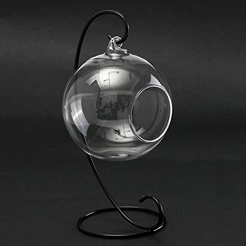 ANTSShop DIY Micro Landscape Plant Glass Hanging Ball With Iron Rack Home D?cor