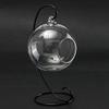 ANTSShop DIY Micro Landscape Plant Glass Hanging Ball With Iron Rack Home D?cor view 1