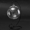 ANTSShop DIY Micro Landscape Plant Glass Hanging Ball With Iron Rack Home D?cor view 2