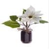 Arcadia Silk Plantation 12" Velvet Poinsettia in Glass Vase White (Pack of 4) view 1
