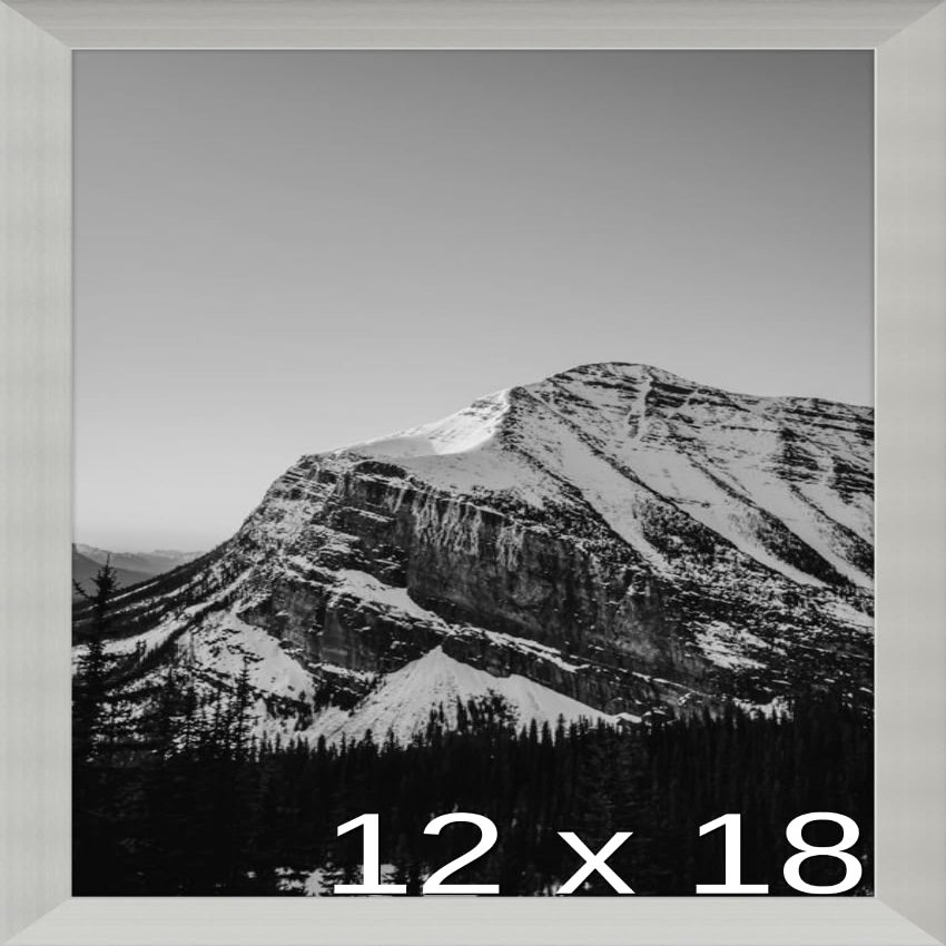 Frame It Easy 12 x 18 Satin Silver Metal Frame (Bradford)
