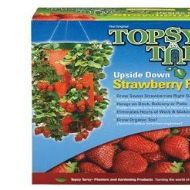 Topsy Turvy Strawberry Planter