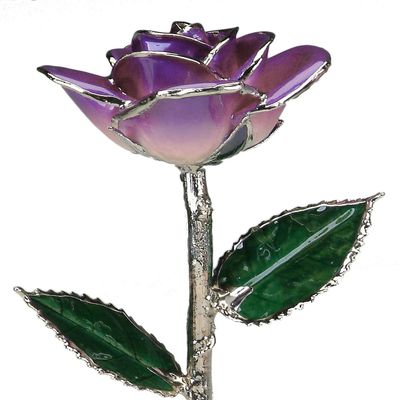Allmygold 11" 2-Tone Purple Platinum Dipped Real Rose