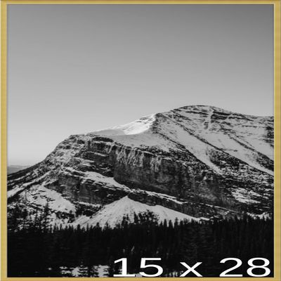 Frame It Easy 15 x 28 Gloss Gold Metal Frame (Ashford)
