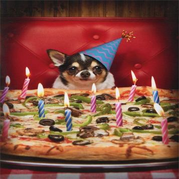 Dog with Birthday Pizza - Avanti Stand Out Pop Up Funny Birthday Card