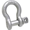 Apex Tools Group T9640335 .18 in. Screw Pin Anchor Shackle view 1
