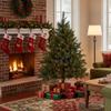 4' Pre-Lit Full Northern Pine Artificial Christmas Tree - Multicolor LED Lights view 3