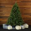 Fraser Hill Farm 7.5-Feet Pre-Lit Canyon Pine Green Artificial Christmas Tree with Dual Multicolor & Warm White LED Lights, Traditional Silhouette, Light Show, Realistic Foliage view 3