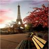 Custom Poster Big Huge Girl Gift Love Room Decor Fashion Well Design Paris EiffelTowerWallpaper 50x76cm view 1