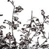 Music Note Dining Centerpiece Decoration - Gifts for Musicians view 2