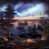 Peck@Gartner Night FIRE by Kim Norlien 16"x32" view 1