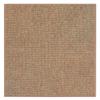2'x3' Clay Pot Casual Boucle Level Loop 20 oz DuraRitz Indoor-Outdoor Area Rug Carpet view 3