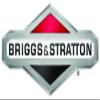 Briggs and Stratton 703460 NUT, HEX, ZINC, #8-32 view 1