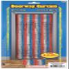 Forum Novelties Tinsel Fringe Curtain, 3 feet x 8 feet, Red/Silver/Blue view 2
