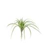 Kalalou Large Artificial Air Plant, One Size, Green view 1