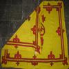 50"x60" Scotland Lion Rampant Polar Fleece Stadium Throw Blanket view 2