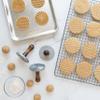 Nordic Ware Geo Cast Cookie Stamps view 2