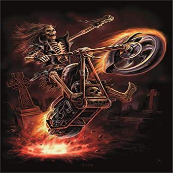 Heart Rock Original Anne Stokes Hellrider Flag, Fabric, Multi-Colour, 110 x 75 x 0.1 cm